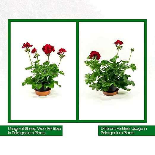 Wool Pellet Organic Fertilizer (4x8.8 oz), Made of Sheep Wool, Water Holding, Enhances Soil Health, Ideal for Fruits, Vegetables, Flowers, Indoor and Outdoor Plants - 4 Pack