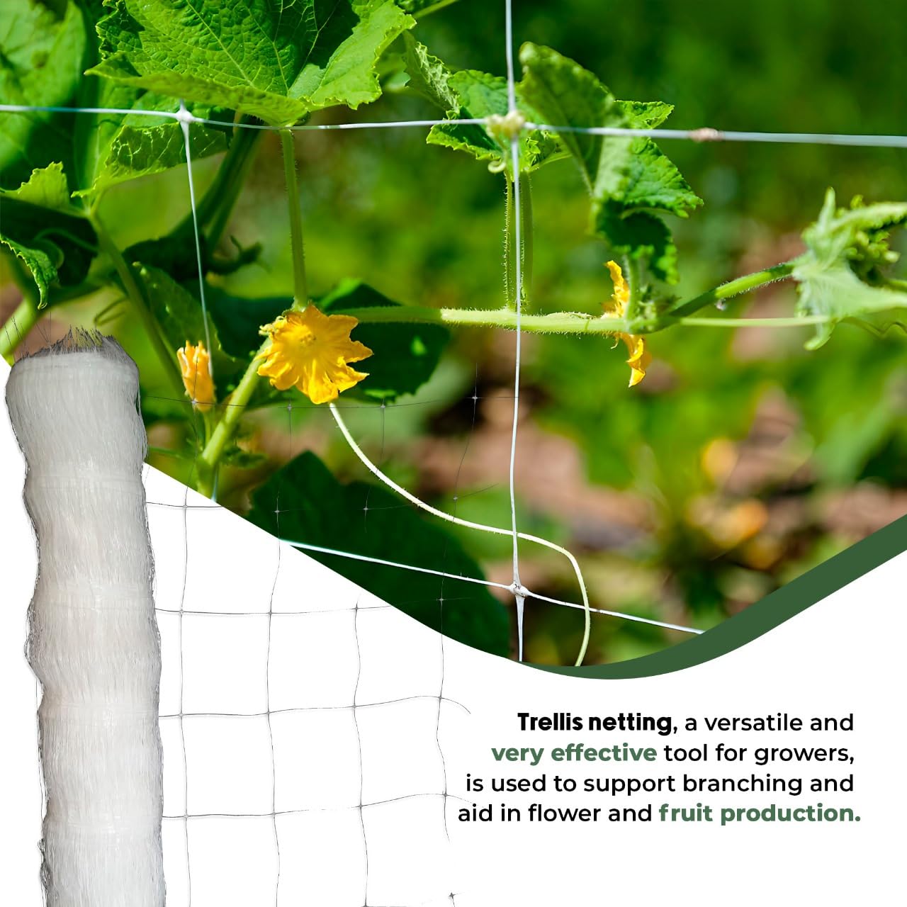 Hortomallas 5ft by 4920-Feet Professional Grade Vegetable Support Trellis Netting Roll/Scrog Net Roll, (59" x 4920' / 1.5m x 1500m) (mesh 5.9"x6.7" / 15cm x 17cm)