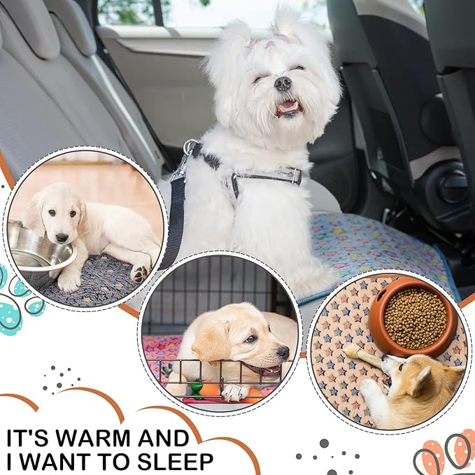 Reginary 4 Pcs Waterproof Guinea Pig Blankets Washable Small Animal Fleece Bedding Absorbent Guinea Pig Cage Liners Reusable Pet Pee Pad Sleep Mat for Hamster Ferret(Star Pattern,35 x 24 Inch)