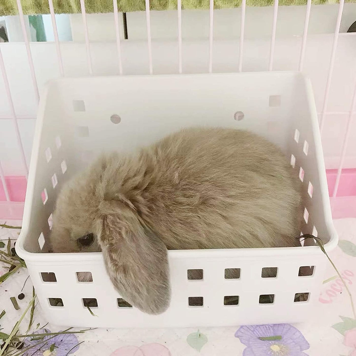 Tfwadmx Rabbit Hay Feeder Hay Rack Manager Holder Plastic Food Bowl Use for Grass Ideal for Bunny Guinea Pig