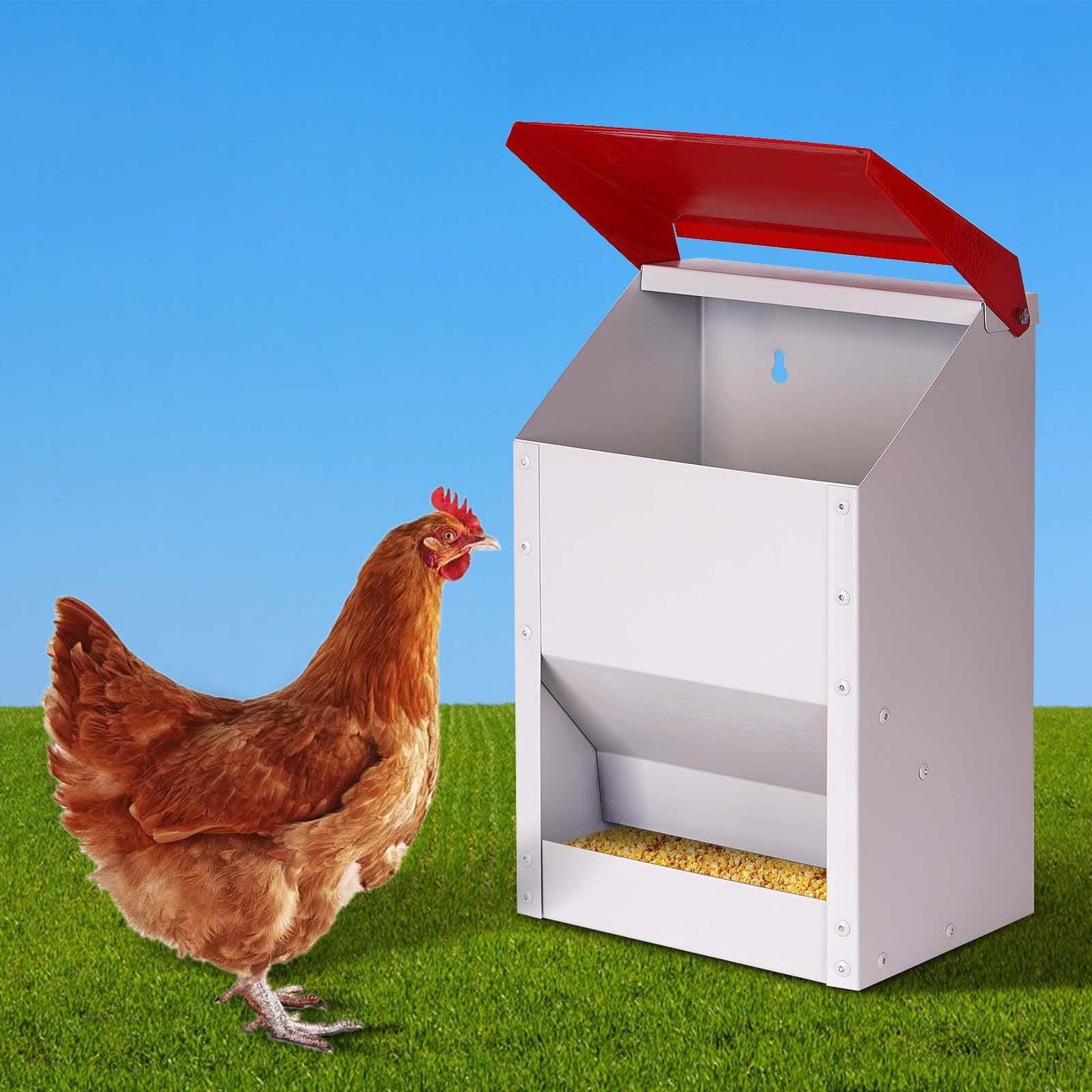 ZHEQOGZH Automatic Metal Chicken Feeder Galvanized Poultry Feeder with Lid Outdoor Wall Mount Chicken Food Dispenser Gravity Fed Chicken Feeder Weatherproof No Waste Quail Duck Feeder (10LBS)