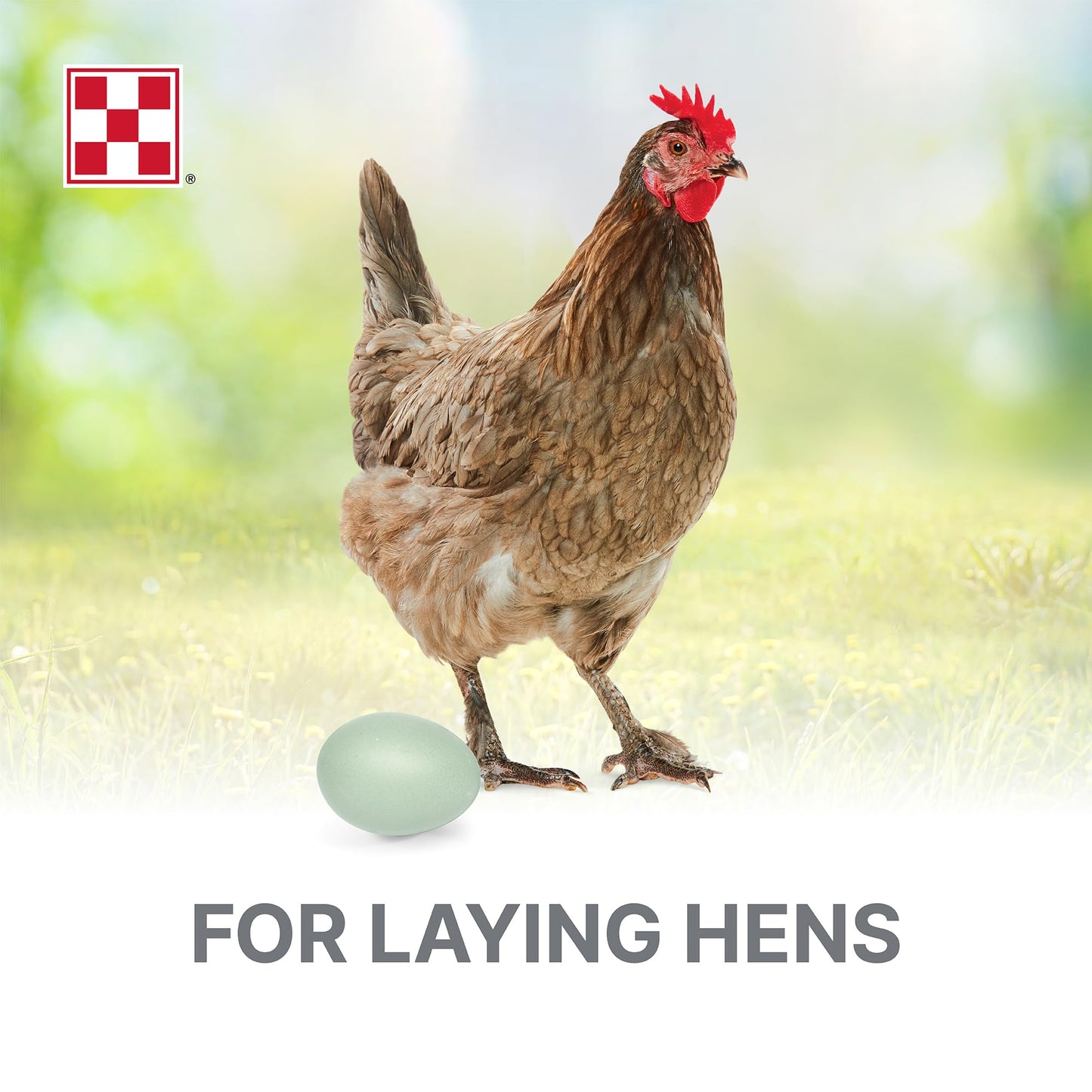 Purina® Layena® Crumbles Chicken Food, 10 Pound Bag
