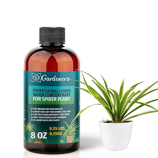 𝐏𝐑𝐄𝐌𝐈𝐔𝐌 Liquid Silica Plant Supplement - 8oz (250mL) - Spider Plants Liquid Silica Boost Fertilizer - Stronger Stems & Healthy Leaves for Indoor & Outdoor Spider Plants (Makes 45 Gallons)
