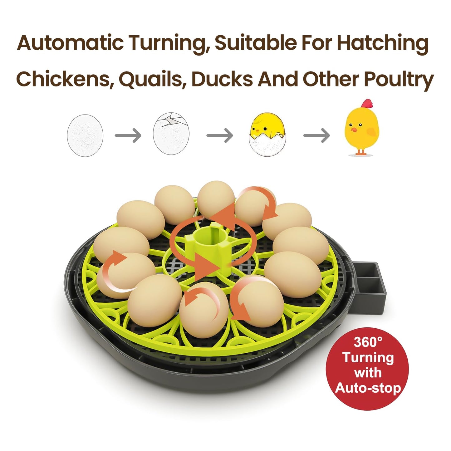 Incubators for Hatching Eggs 12 Egg Incubator with Automatic Egg Turning and Humidity Control,Egg Candler,Auto Water Replenishment,for Chicken Eggs and Quail Egg M12H