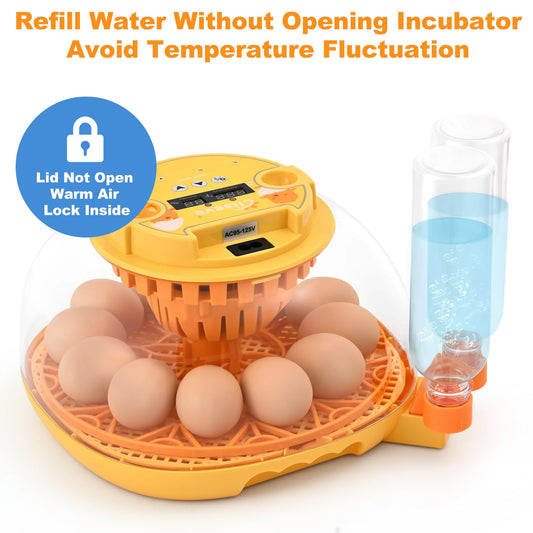 Egg Incubator for Hatching Chicks, Automatic Egg Turner Holds 12 Eggs, Smart Incubator 360° Clear Window with Temperature and Humidity Display Egg Candler for Small Poultry Ducks Quails Eggs
