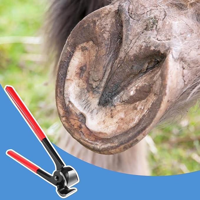 10 Inches Hoof Nipper, Farrier Tool Hoof Trimmers Goat Hoof Trimming Shears Nail Clippers for Horse Donkey Cow Goat Animal Hooves