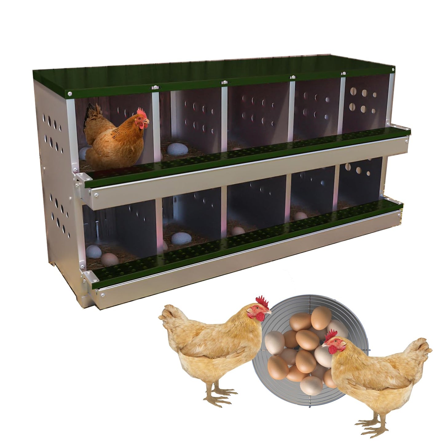 Chicken Nesting Boxes with 10 Compartment-Wall Mount Roll Away Chicken Nest Box, Laying Eggs Boxes for Hen, Chickens and Ducks