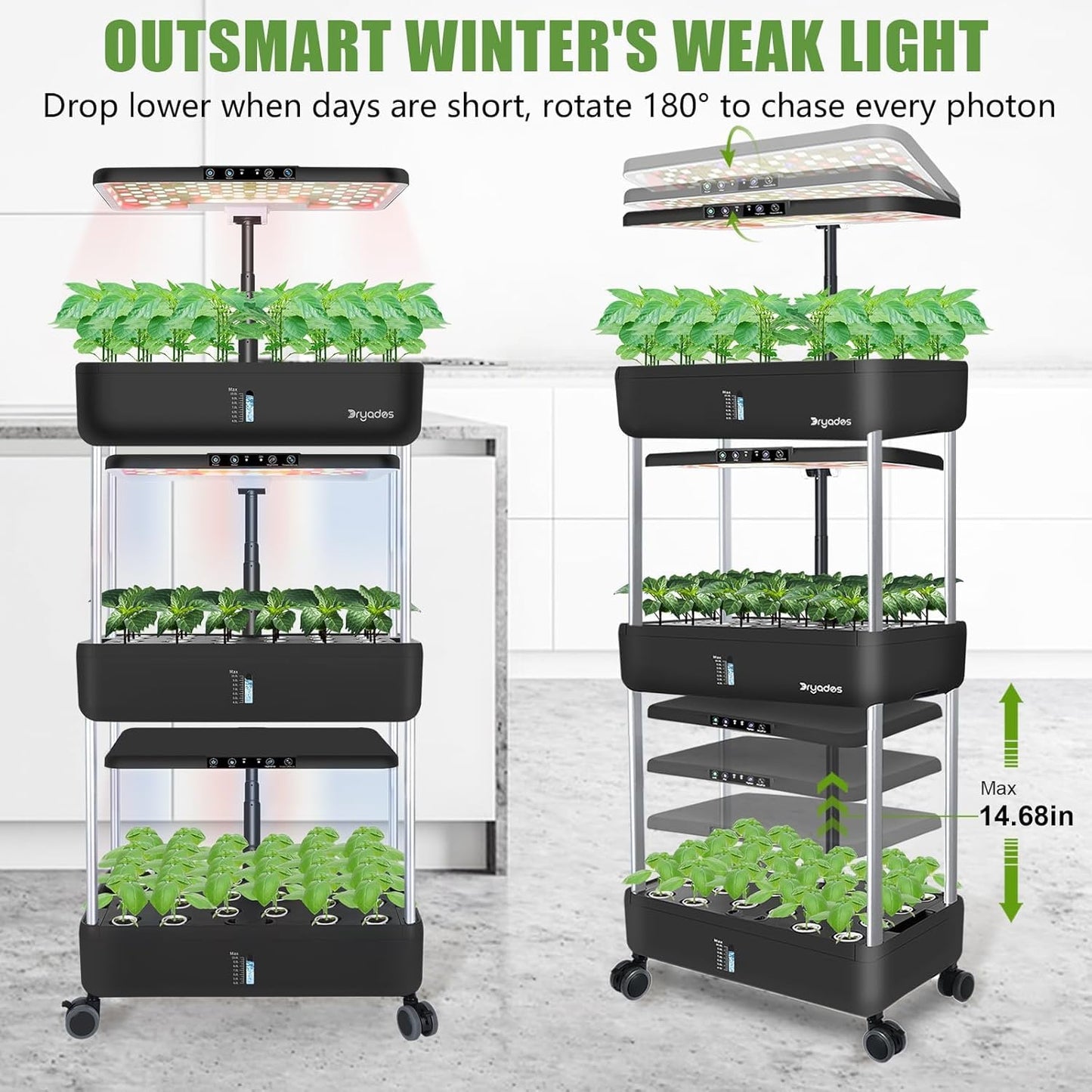 DRYADES 66-Pod Indoor Hydroponic Growing System + 3 Free Seeds Starter Kit (Lettuce, Salad Mixed, Basil Seeds) – Dual 53W Full-Spectrum LED, 10-L Water Tank, 3-Tier Grow Pods