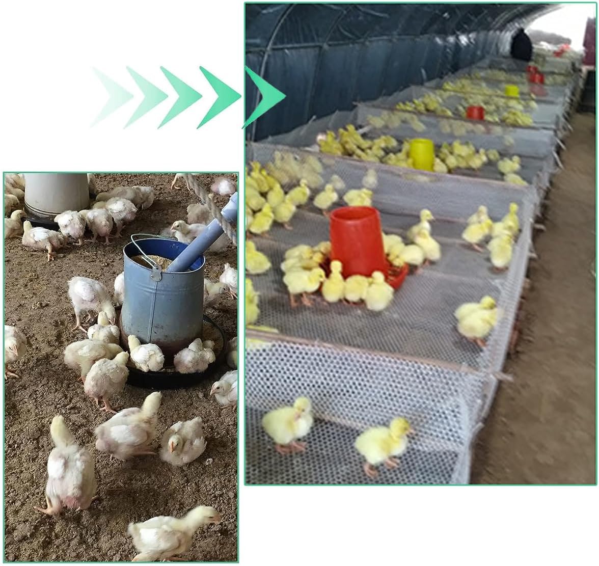 Plastic Chicken Wire Mesh Fence 15.7IN x 66FT,Poultry Fencing Garden Netting,Animal Barrier Fence,Construction Barrier Netting,Hexagonal Fencing for Farm,Frame Crafts,Floral Netting