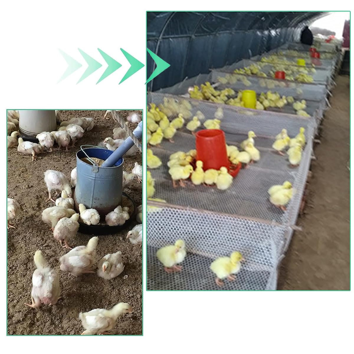 Plastic Chicken Wire Mesh Fence 15.7IN x 66FT,Poultry Fencing Garden Netting,Animal Barrier Fence,Construction Barrier Netting,Hexagonal Fencing for Farm,Frame Crafts,Floral Netting