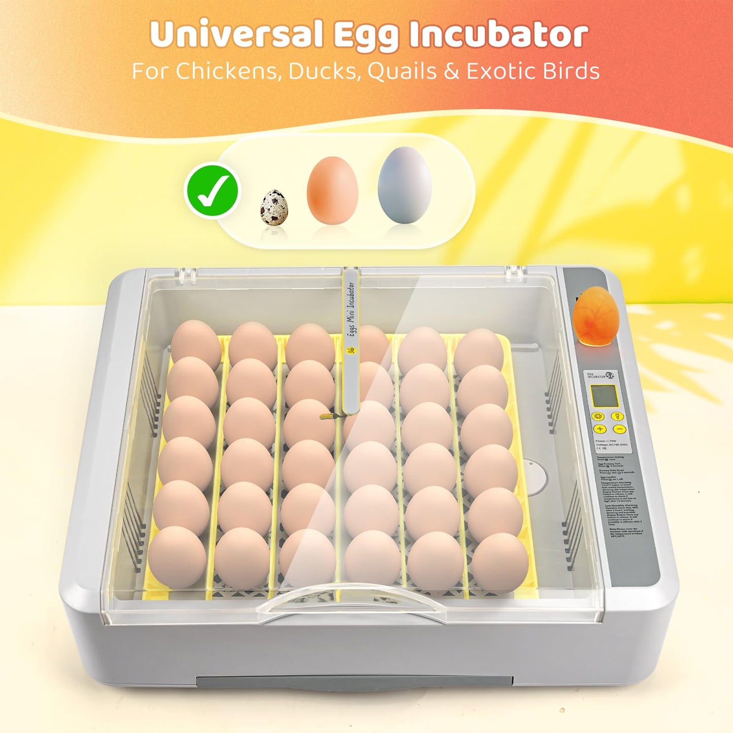 36 Eggs Incubator for Hatching Chicks with Automatic Turner Temperature & Humidity Control, Multifunctional Ultra-Clear Panoramic View with Hatch Days & Egg Candler for Chicken, Duck, Goose, Bird