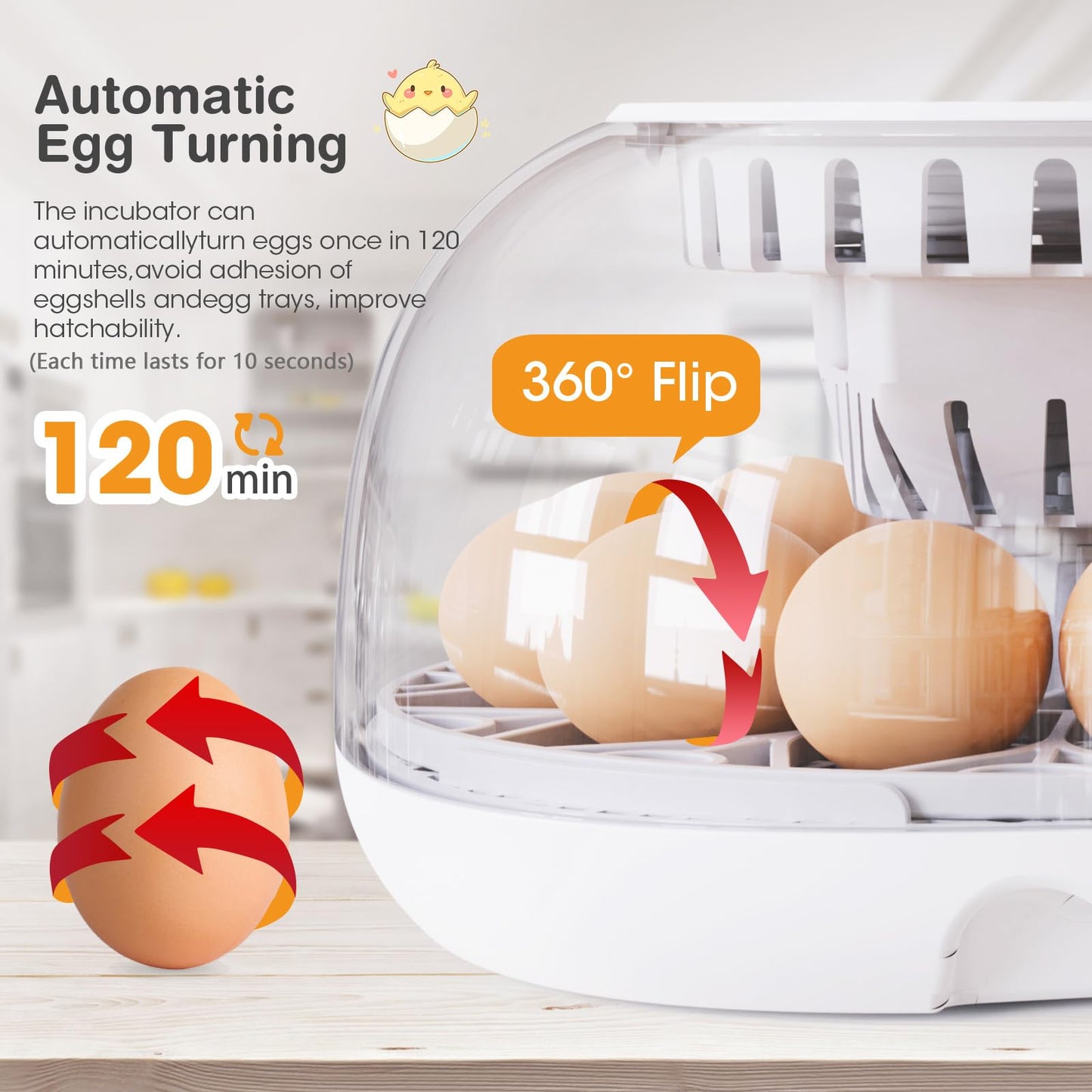 Incubators for Hatching Eggs, 12 Egg Incubator with Automatic Turning and Temperature Control, Automatic Water Adding, LED Egg Candler, for Hatching Chickens, Duck, Quail, Goose Eggs