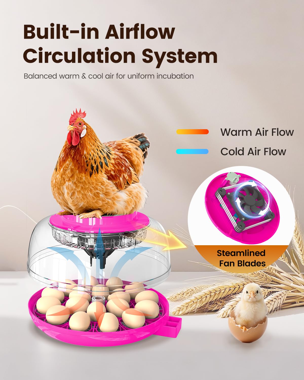 Incubator for Hatching Eggs, 18 Eggs Capacity, Incubators with Egg Candler, Automatic Egg Turner, Temperature & Humidity Control, Full Viewing for Chicken, Duck, Quail, Goose, Parrot, Pigeon