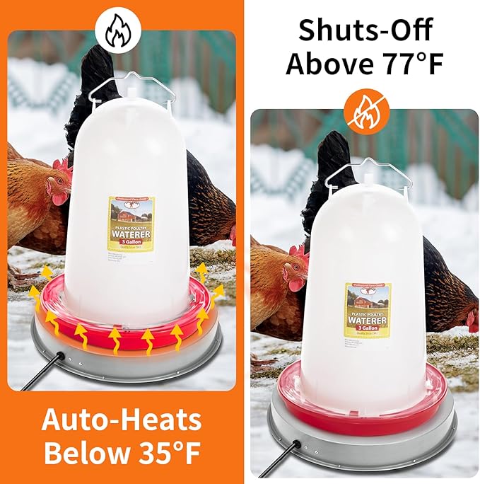 Chicken Water Heater for Winter: 11 Inch Chicken Water Heater Base, 77℉ Automatic Shut-Off, Safe for Outdoor Use, 125W Heated Chicken Waterer, Poultry Water Deicer with 6 Feet Cord