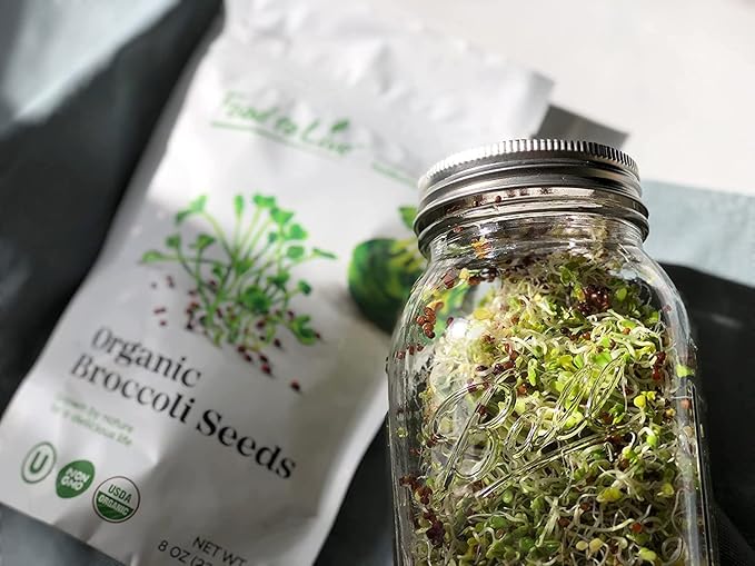 Food to Live Organic Broccoli Seeds for Sprouting, 10 Pounds – Non-GMO, Vegan, Kosher, Sirtfood, Bulk. Rich in Sulforaphane, Vitamin C. Grow Sprouts, Microgreens for Salads, and Sandwiches