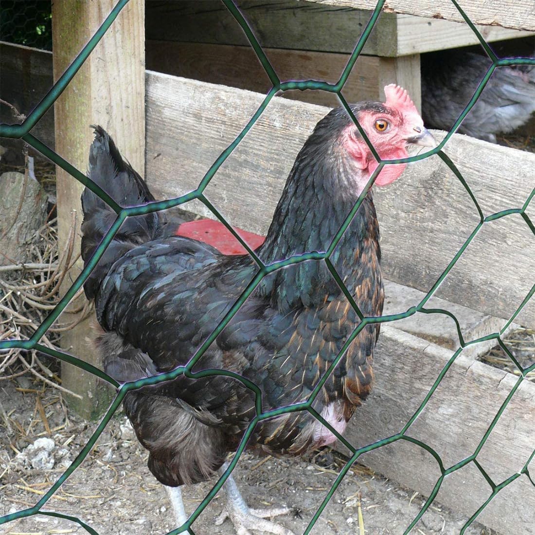 Garden Poultry Green Chicken Wire PVC Coated Hexagonal Wire Mesh Roll Animal Fence 3m x 400mm Garden Netting Fencing for Pet Rabbit Chicken with Gloves & 50Pcs Cable Ties