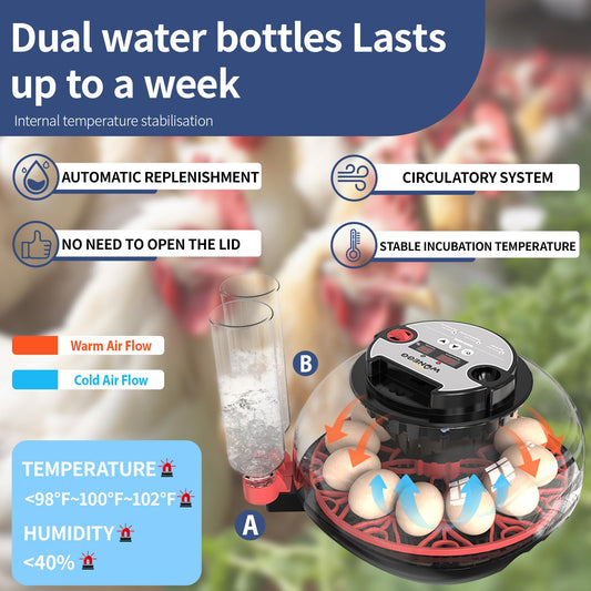 ZPZ 12 Egg Incubators for Hatching Eggs, Auto Turning, Humidity & Temperature Display, LED Egg Candler, 360°View, Incubators for Chicken Duck Quail Eggs, Energy-Efficient for Home/Farm/Classroom