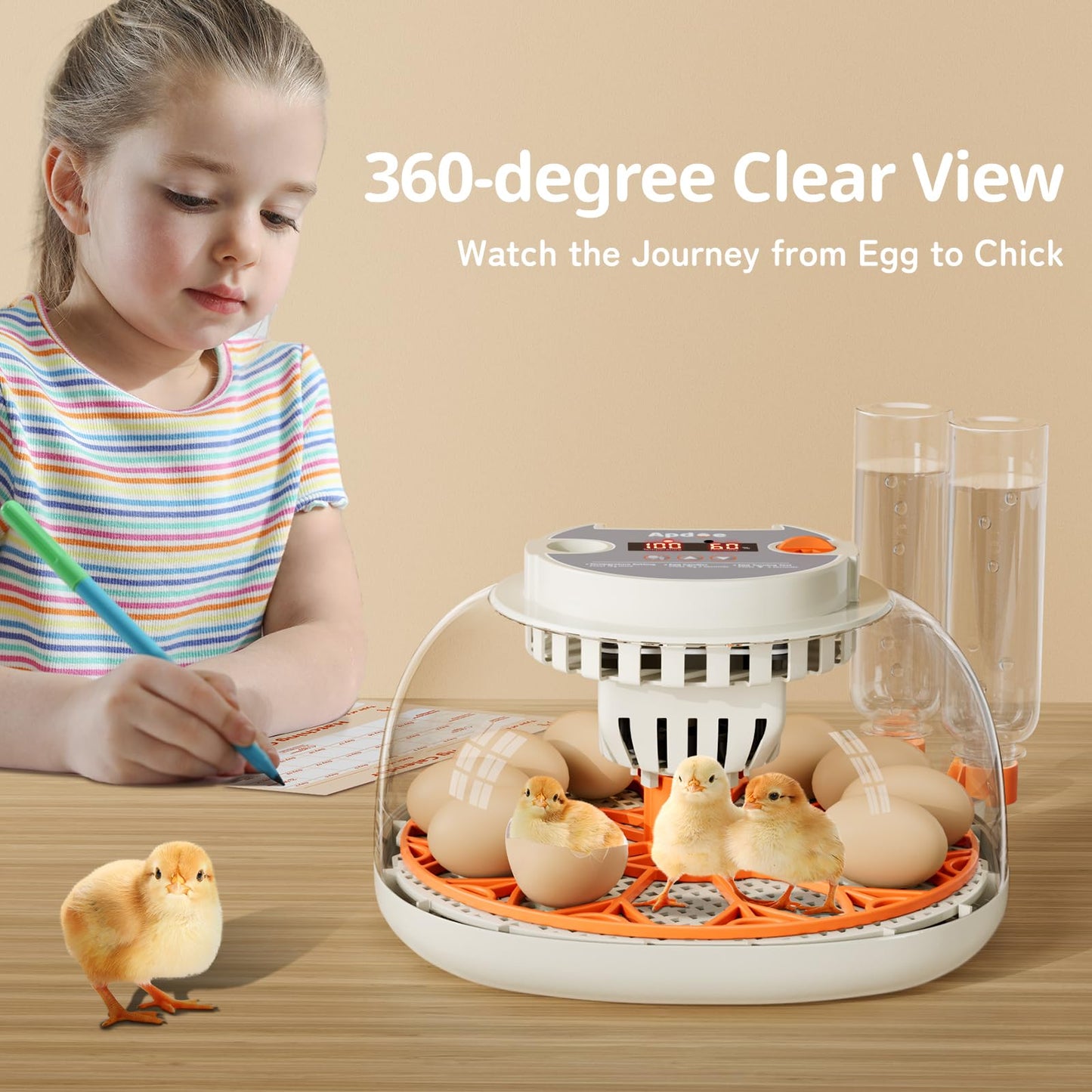 Egg Incubator with Temperature and Humidity Control, Automatic Egg Turner, Egg Candler, External Water Bottle Refill, Air Vent, 360° Clear View, Hatching Chicken Duck Quail Bird, APDOE HatchPro 12