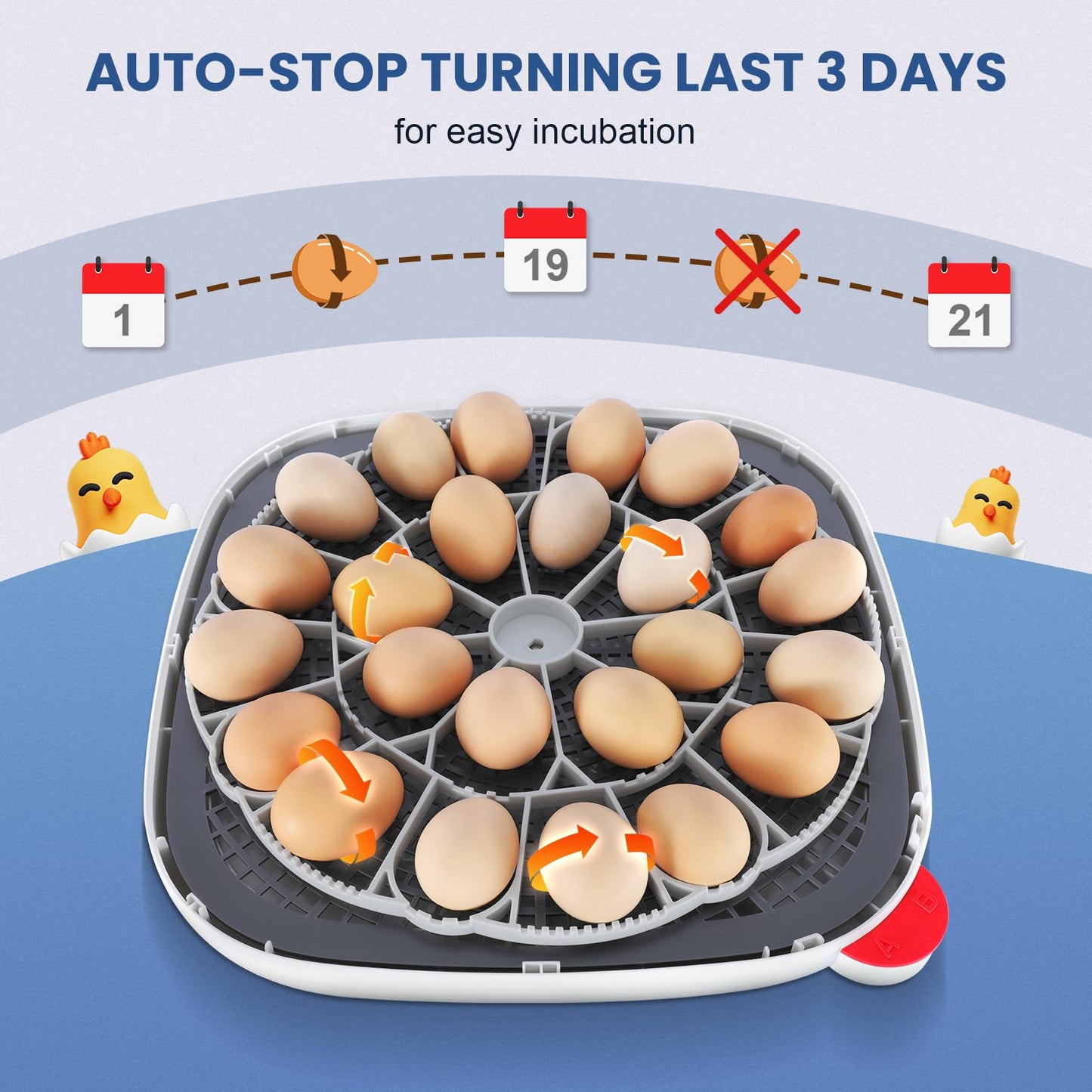 Sailnovo 24 Eggs Incubators for Chicken Eggs with 4 Modes, 360° View Incubator with Automatic Egg Turning and Temperature Control Humidity Display, Digital Incubator for Chicken Quail Duck(Blue)