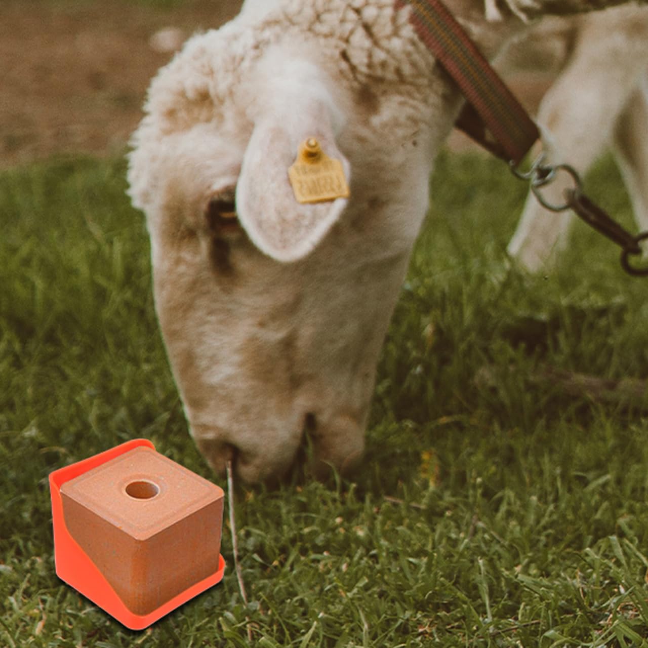 KESYOO Lick Brick Box Cow Tray Deer Salt Block Salt Goats Salt Block Feeder Holder Large Thicken Sheep Licking Livestock Cattle Salt Block Feeder Blocks Holders Mineral Coarse or