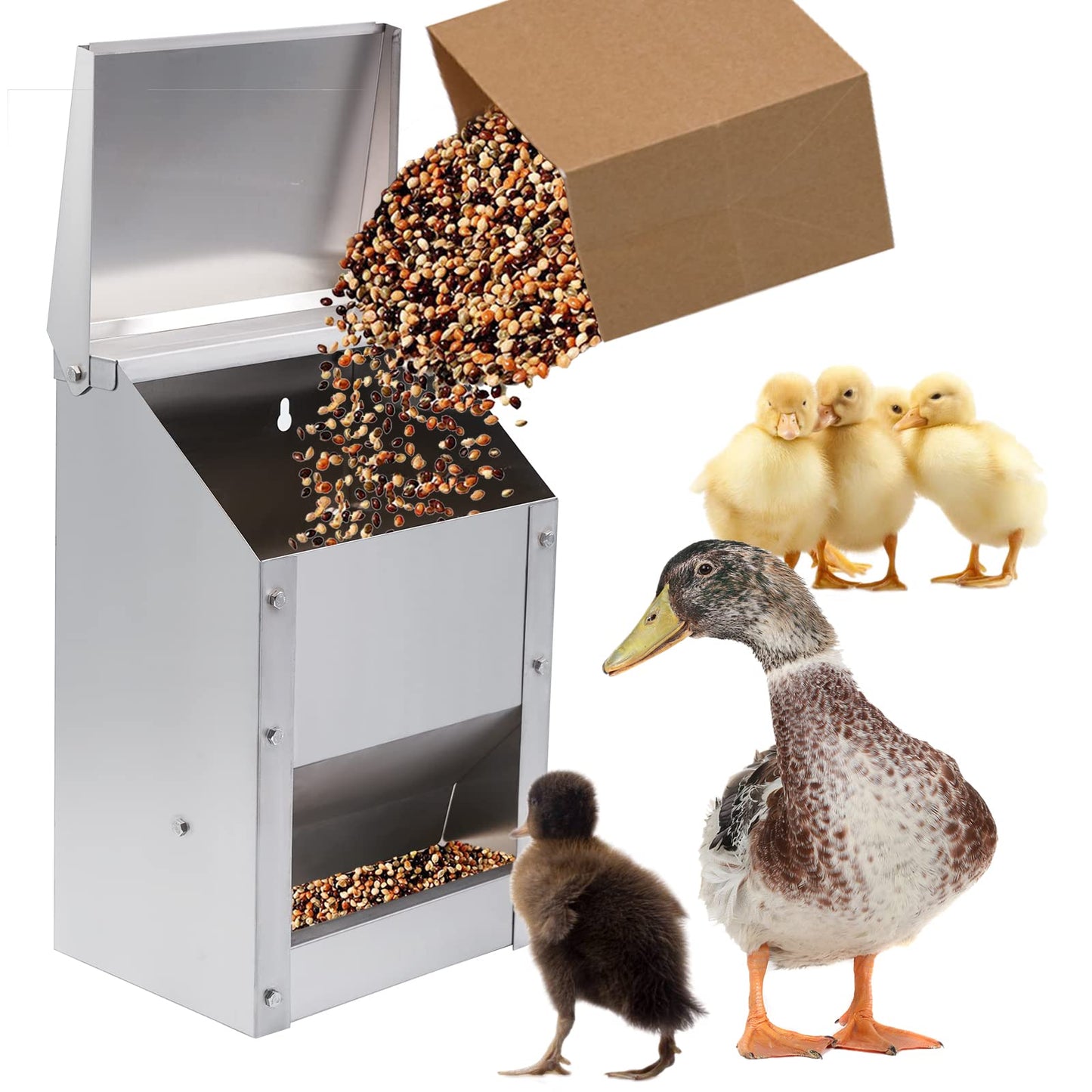 KHEARPSL Stainless Steel Wall Mounted Chicken Feeder Hanging Automatic Poultry Feeder with Lid Weatherproof Metal Poultry Feeders Trough(10LB Capacity)