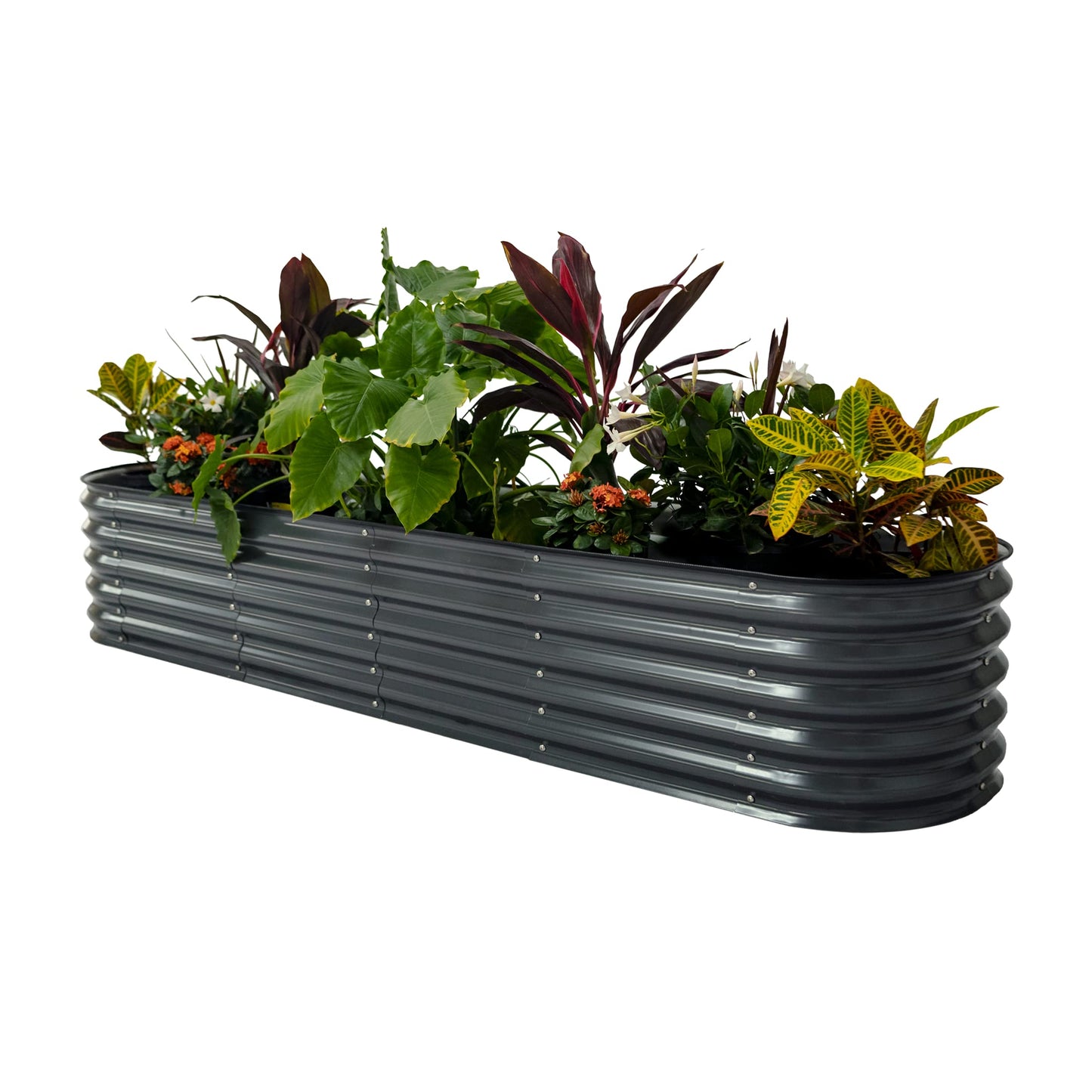Vego garden Raised Garden Bed Kits with Garden Irrigation Kit
