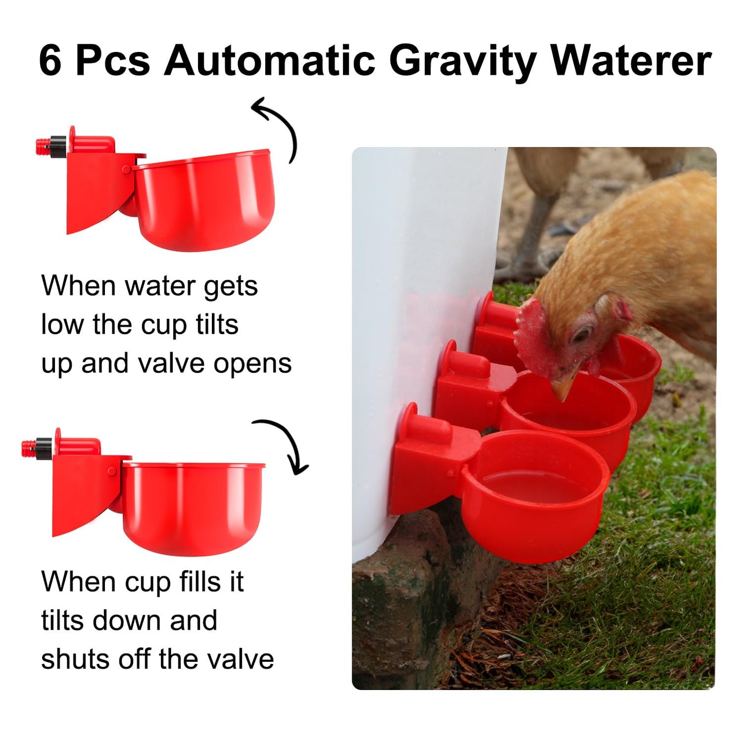 Chicken Feeder No Waste Automatic Poultry Feeder DIY Chicken Feeders and Waterer Set 6 Chicken Feeders Ports Auto Chicken Feeder Kit