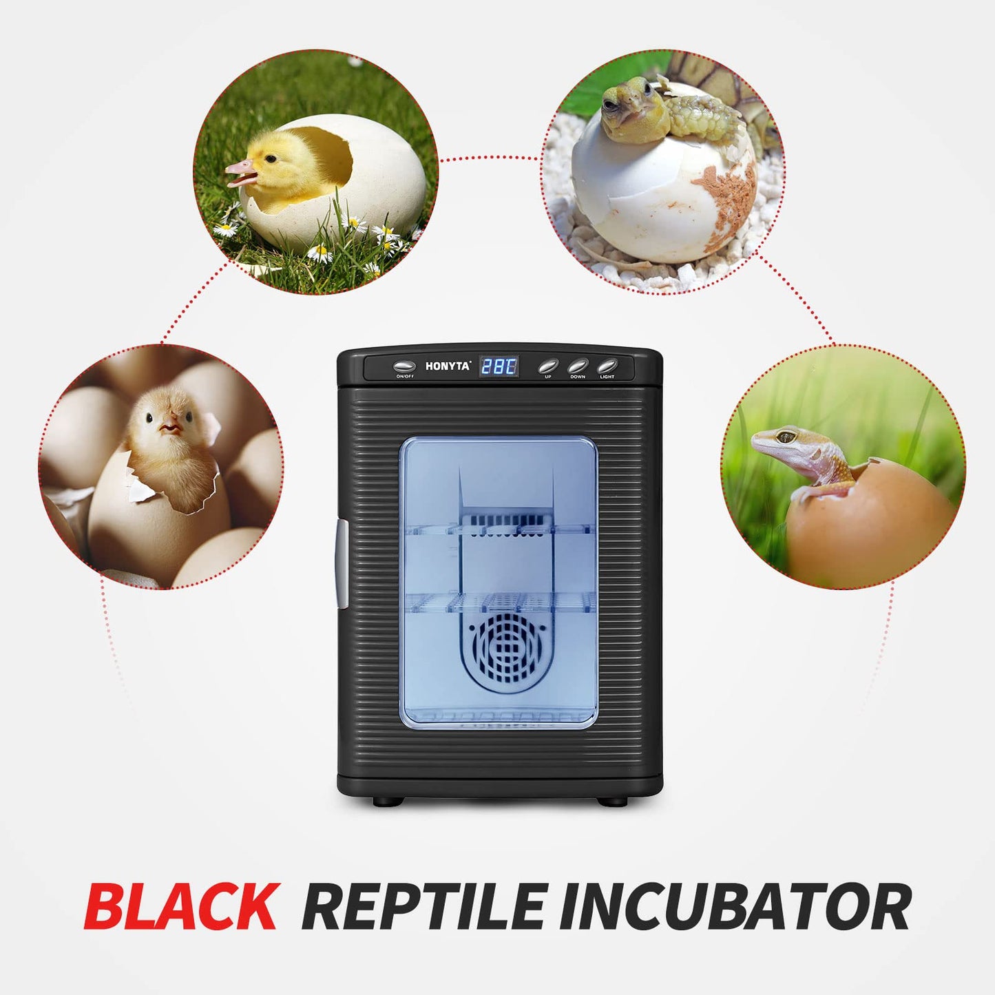 RYFT Incubators for Hatching Eggs, 25L Portable Reptile Scientific Lab Incubator with 5°C-60°C, 12V/110V Heating and Cooling for Small Reptiles (Black)