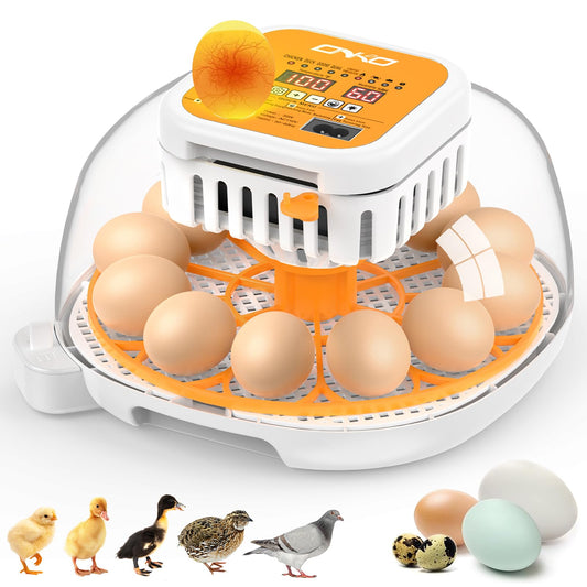 ONKO 12 Egg Incubator with Auto Temp & Humidity Control for Home, Farm, Classroom, Auto Egg Turner & Stop, External Water Refill, Air Vent, 360° Clear View, Hatching Chicken, Duck, Goose, Pigeon Eggs