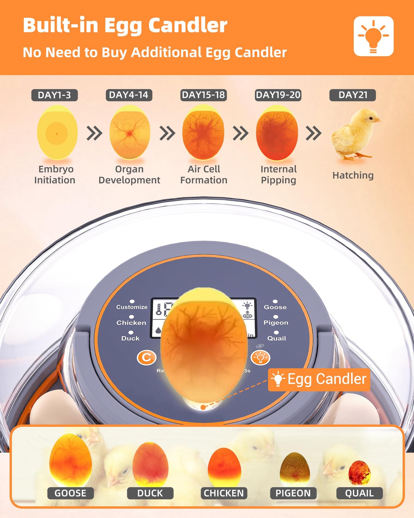 Incubators for Hatching Eggs, 12 Chicken Incubator with Automatic Egg Turning and Humidity Control, Baby Chick Cozy Supplies with Egg Candler for Quail, Chickens, Duck, Goose