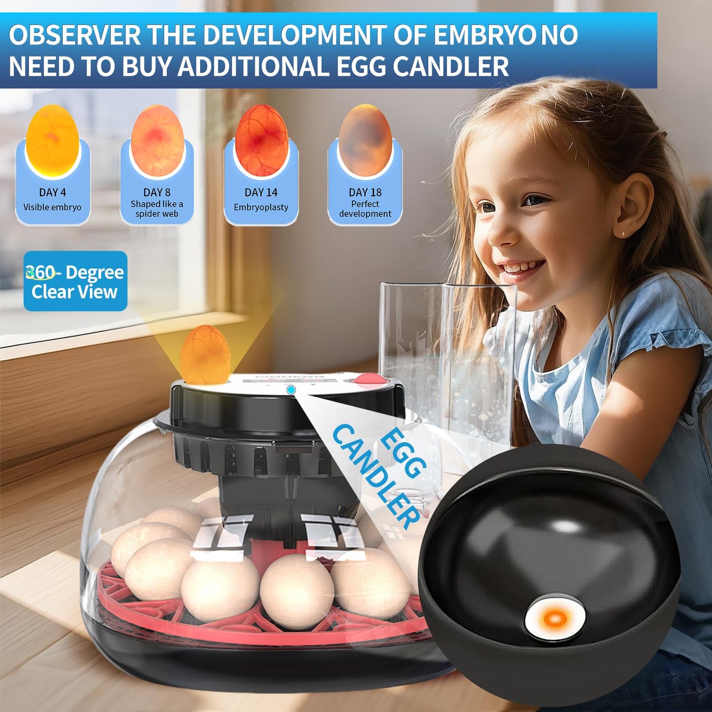 ZPZ 12 Egg Incubators for Hatching Eggs, Auto Turning, Humidity & Temperature Display, LED Egg Candler, 360°View, Incubators for Chicken Duck Quail Eggs, Energy-Efficient for Home/Farm/Classroom