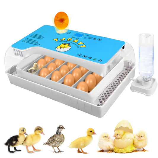 Incubators for Hatching Eggs 15-35 Eggs Incubator with Automatic Egg Turning and ℉Temperature Display LED Candler Poultry Incubator for Hatching Chicken Duck Deviled Egg Containers (Blue)