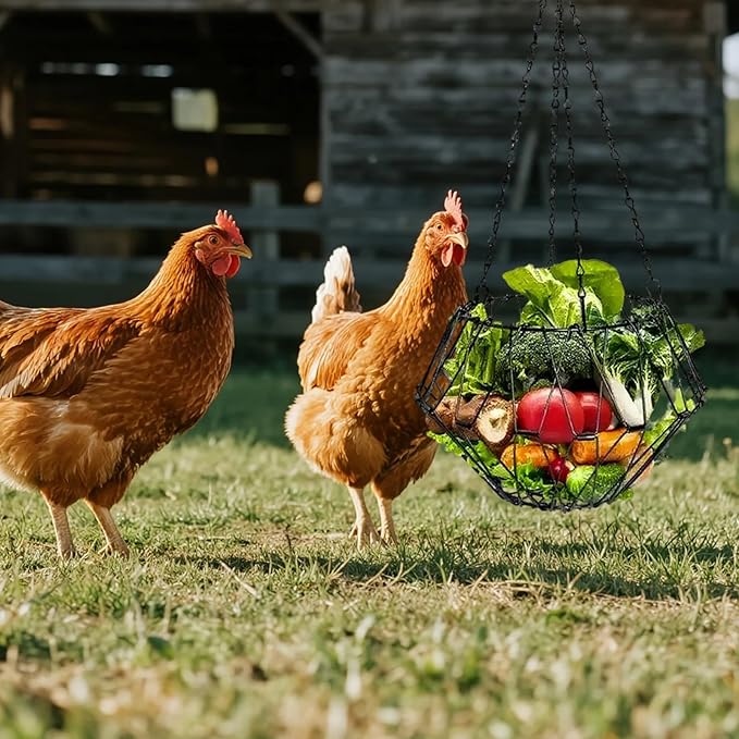 Hanging Chicken Feeder, Foldable Poultry Feeder Basket for Chicken Duck Coop, 2 Pcs
