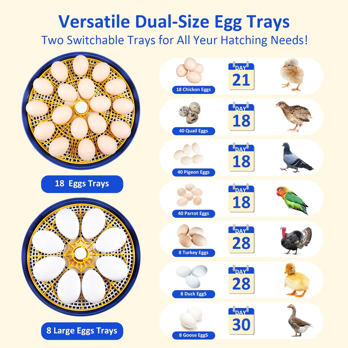 Incubators for Hatching Eggs, 18 Egg Incubator with Automatic Egg Turning and Humidity Control, 360° View Incubadora De Huevos De Gallina, Candler, Incubator for Chicken Eggs, Ducks, Goose, Quail