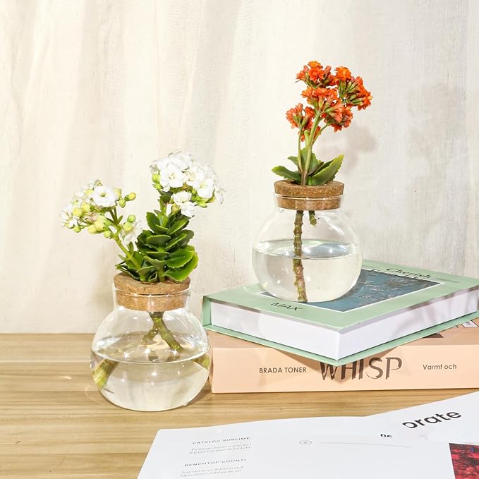 Plant Propagation Station,Hydroponic Terrarium Vase,Desktop Glass Planter Station,for Houses,Garden Decorations,ropagating Hydroponic Plants,Centerpiece Office,Home Garden Decor (4)