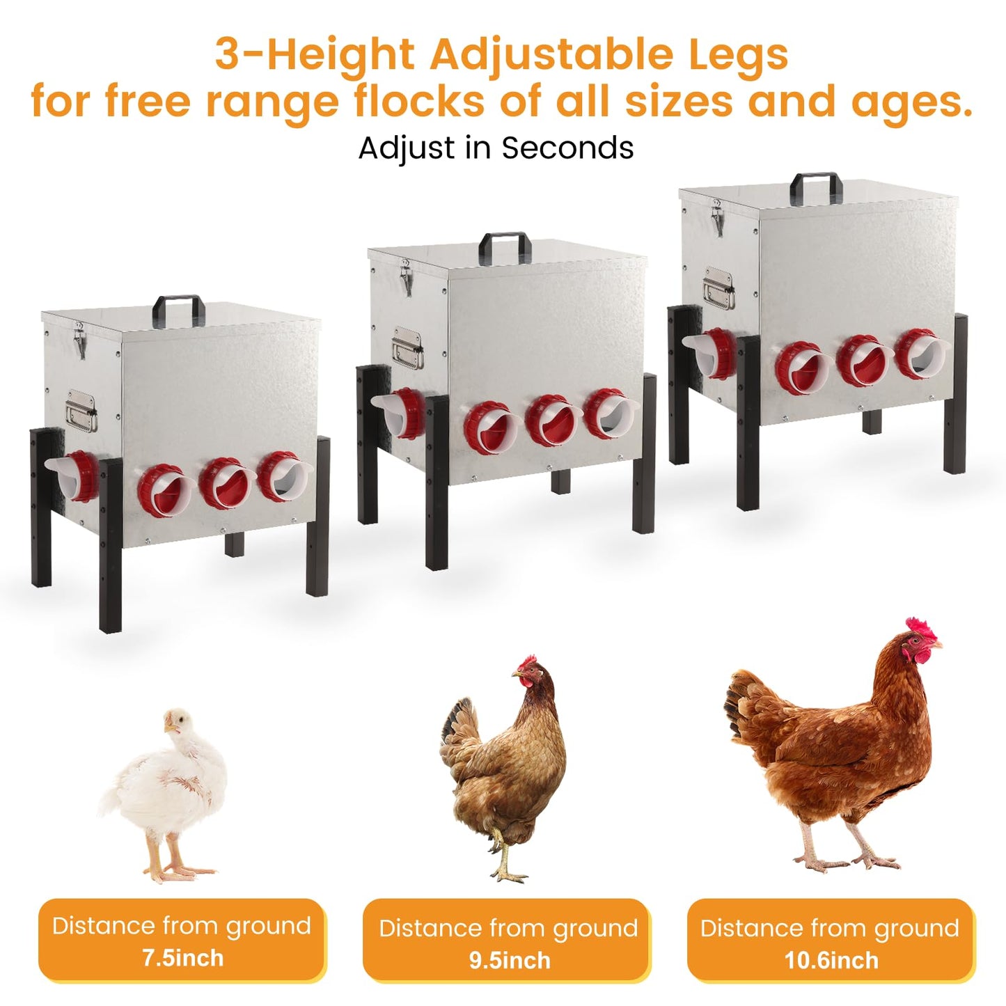 50LB Automatic Chicken Feeder with Cover – Large Capacity Metal Chicken Coop Feeder with 8 Feed Ports, Adjustable Legs Rainproof No Waste Outdoor Poultry Feeder for Hens & Free Range Flocks