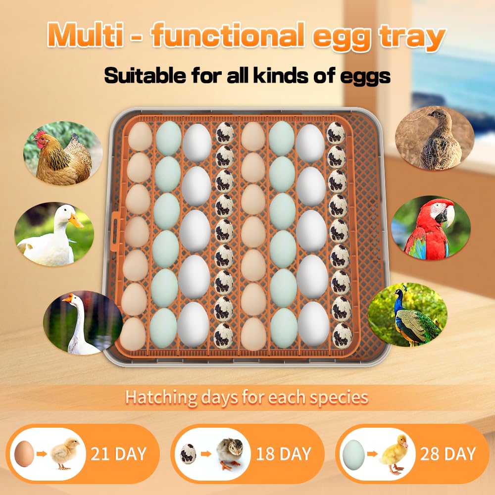 HOWOOlUA 56 Egg Incubator for Hatching Eggs with Auto Turn, Temp & Humidity Control, Built-in Candler Large Capacity Egg Incubator for Chicken Duck Goose Eggs