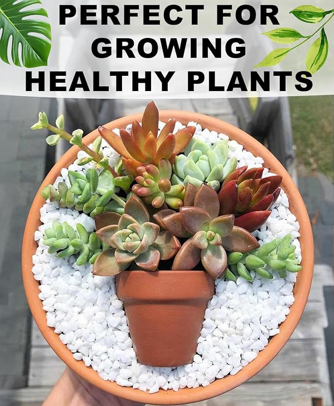 Horticultural Coarse Perlite – 2 Quart Bag – All-Natural Lightweight Additive for Improved Drainage & Aeration – Ideal for Potting Soil, Bonsai, Succulents, Houseplants, Seed Starting & Propagation