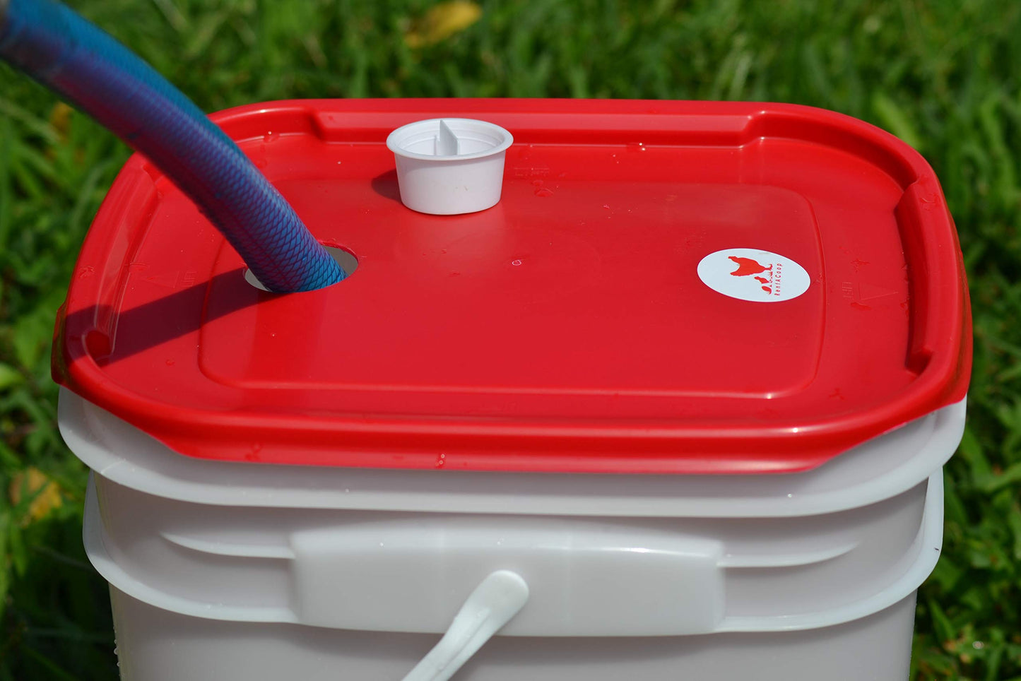 RentACoop 5 Gallon/ 4 Automatic-Fill Water Cup Chicken Waterer - Center Placement