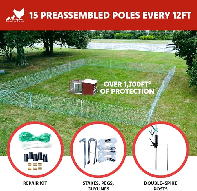 RentACoop Poultry Netting Electric Fence - Electric Poultry Enclosure for Chickens, Ducks, Turkeys - Suitable for 4 Week Old Chickens/Older and Adult Poultry - Energizer Not Included - 168' L x 42" H