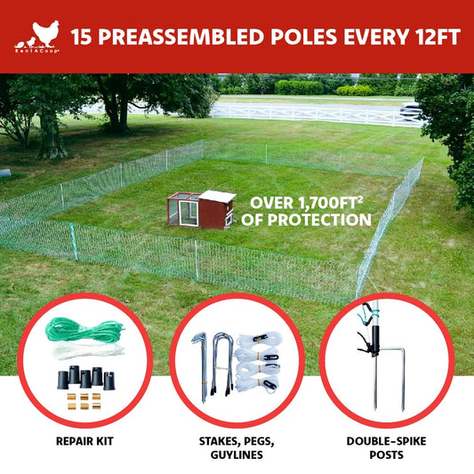 RentACoop Poultry Netting Electric Fence - Electric Poultry Enclosure for Chickens, Ducks, Turkeys - Suitable for 4 Week Old Chickens/Older and Adult Poultry - Energizer Not Included - 168' L x 42" H