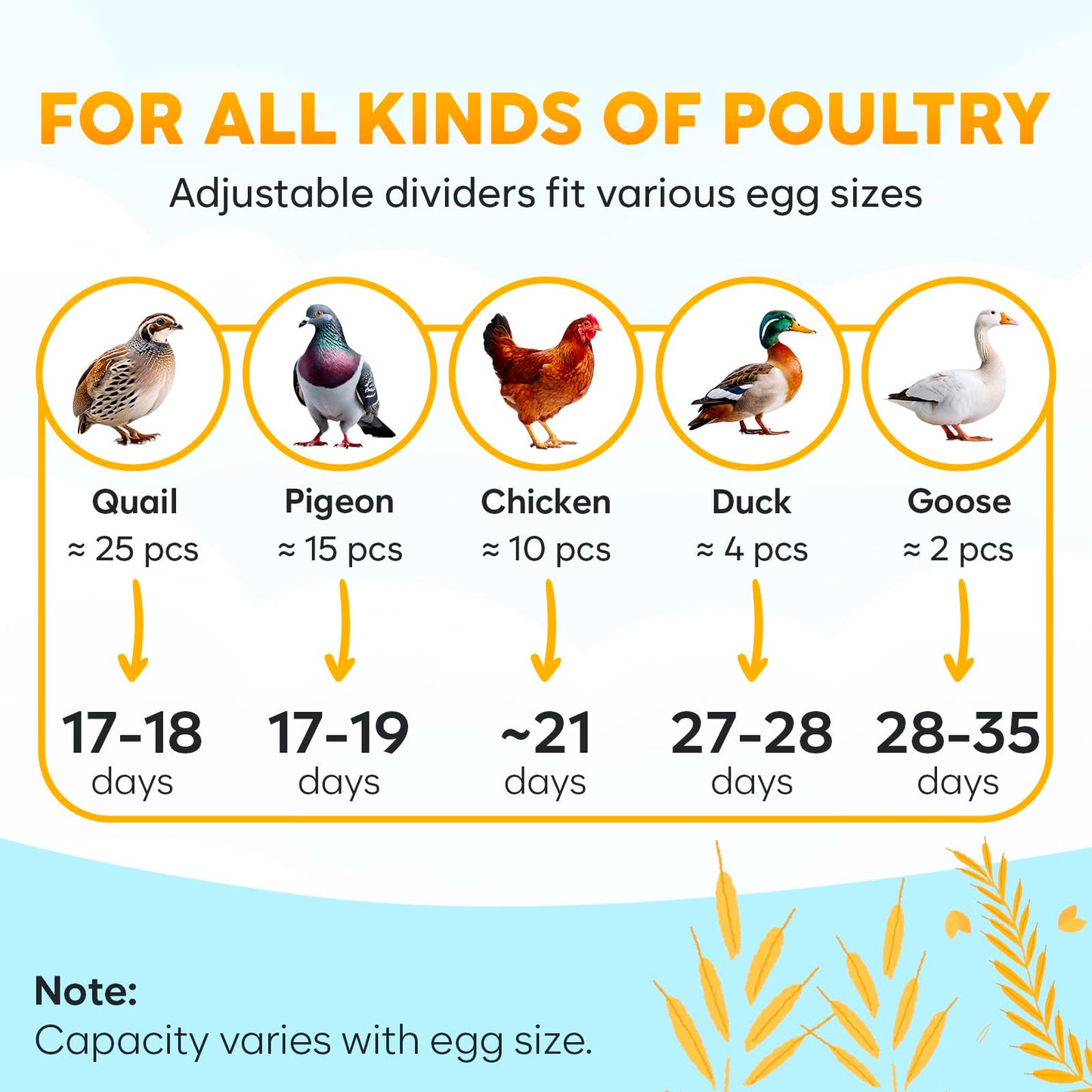Okkobi M12 | Egg Incubator with Automatic Egg Turning and Humidity Control - 12/24 Eggs, 360° View, Easy to Use and Clean - Egg Incubators for Hatching Eggs - Incubadora de Huevos de Gallina