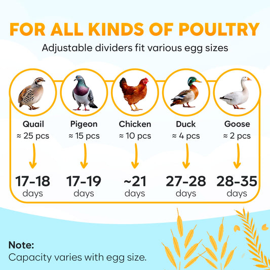 Okkobi M12 | Egg Incubator with Automatic Egg Turning and Humidity Control - 12/24 Eggs, 360° View, Easy to Use and Clean - Egg Incubators for Hatching Eggs - Incubadora de Huevos de Gallina