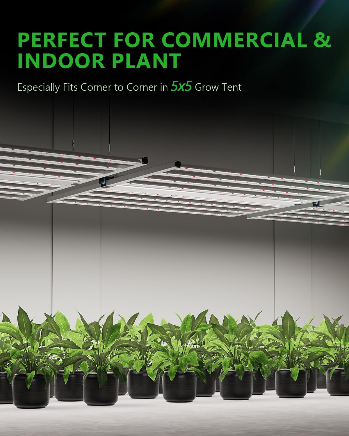 BAYLABS 1000W Full Spectrum LED Grow Light, UV/IR Enhanced Foldable and Dimmable 8 Bar Lamp for 5x5 ft Core Coverage, 2.89 μmol/J Efficiency Ideal for Commercial Hydroponics