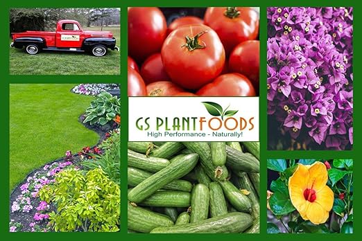 Grower’s Honey Plant Based Liquid Fertilizer - Organic Plant Food for Huge Vegetative Growth (1 Quart) - Liquid Fertilizer for Vegetables, Bigger Flowers and Jumbo Fruits