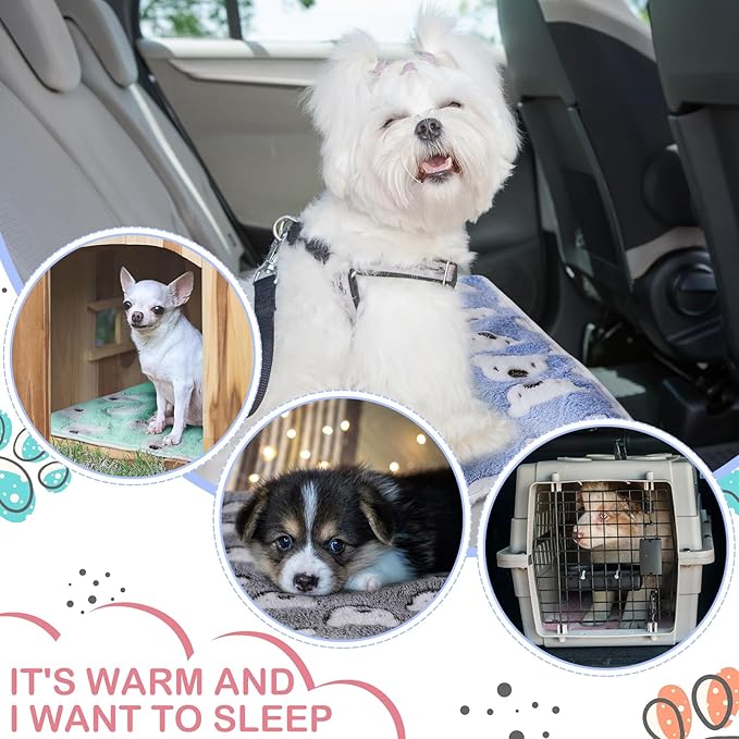 Reginary 4 Pcs Waterproof Guinea Pig Blankets Washable Small Animal Fleece Bedding Absorbent Guinea Pig Cage Liners Reusable Pet Pee Pad Sleep Mat for Hamster Ferret(Bear Pattern,24 x 16 Inch)
