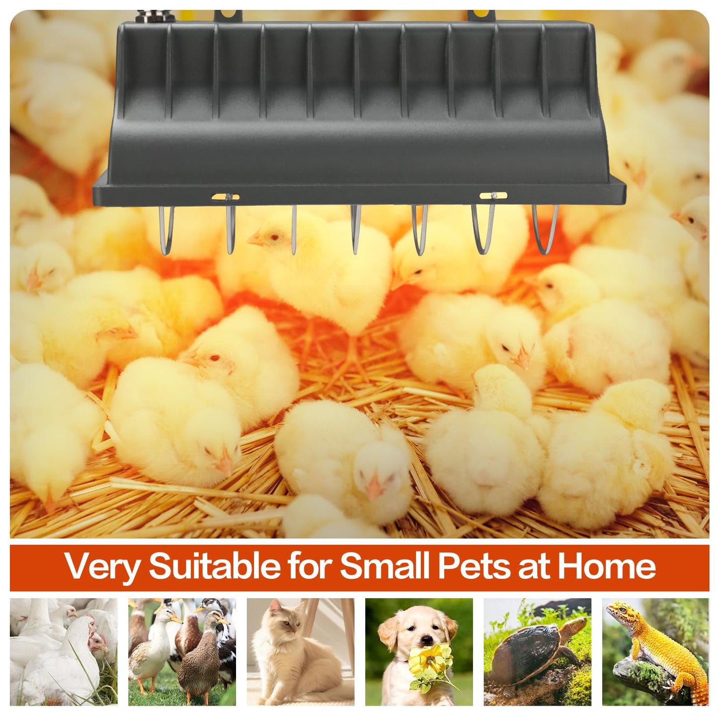 Sohveta 250W Chicken Coop Heater for Chicks Ducks Dog Kennel, Cat Bed, Reptiles, 2 Heating Mode Heat Lamp Warmer for Chicken Coop in Winter, Inside and Outdoor Pet Total 2 Heating Tube as Backup Lamp