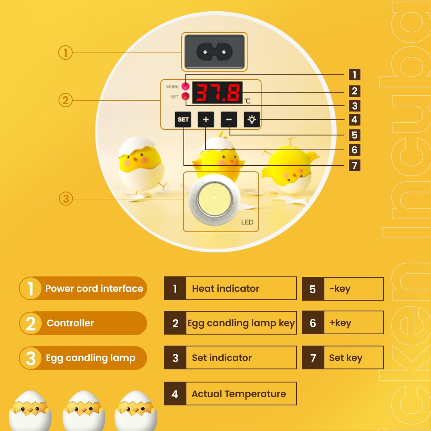 DEZHXHE 8 Egg Incubators for Hatching Eggs, Automatic Egg Turner and Egg Candle Tester, 360 Degree View, Farm Poultry Egg Incubators for Chicken Duck Goose Quails Eggs
