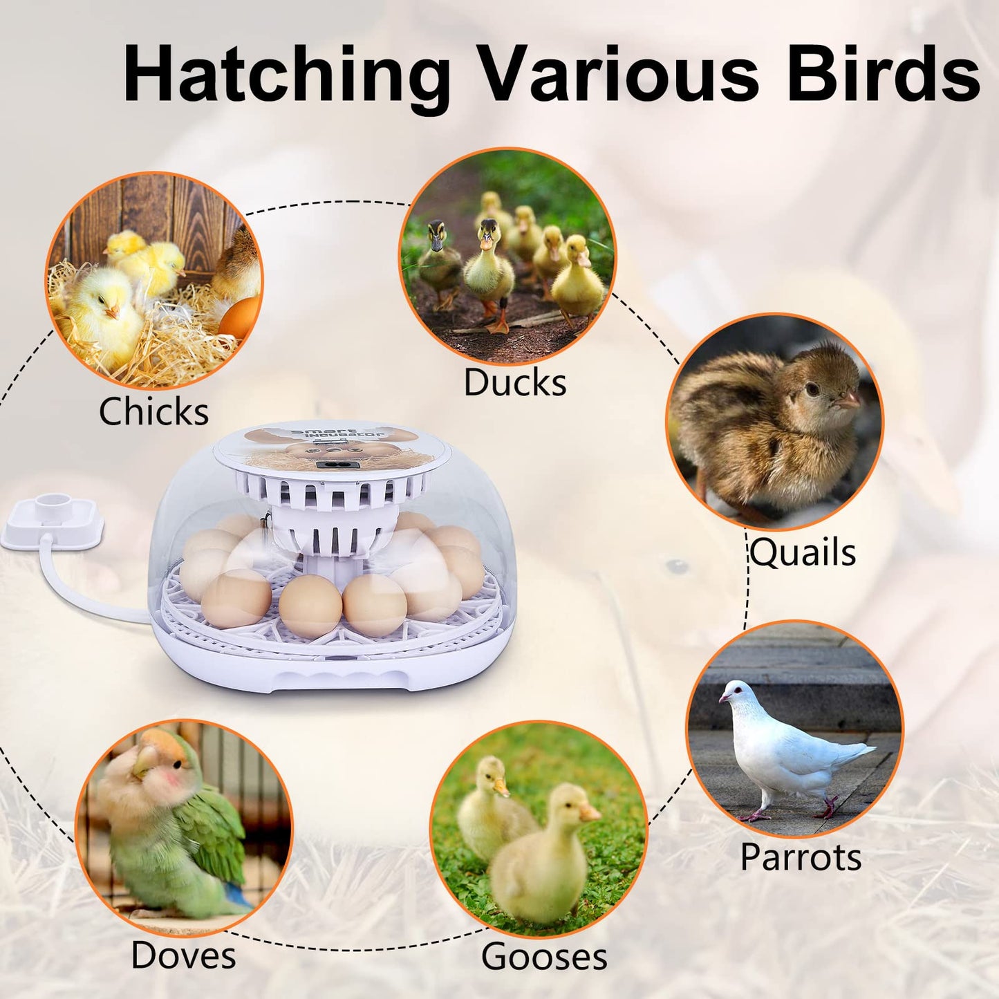 NORJIN Egg Incubator, 12 Eggs Incubator for Hatching Eggs, Digital Incubator Chicken Egg Incubator with Automatic Egg Turning and Water Adding for Hatching Chickens Birds Ducks
