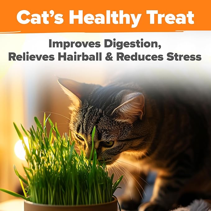 HOME GROWN 3 Cat Grass Seed Mix – Non-GMO Heirloom Oat, Alfalfa & Cat Grass Seeds | Indoor Pet Grass for Cats | High-Germination Greens for Hairball Control, Digestion, and Chewing Enrichment